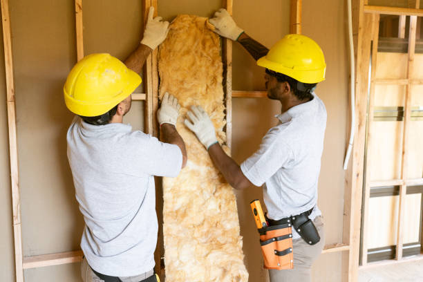 Best Insulation for New Construction  in Boyce, LA